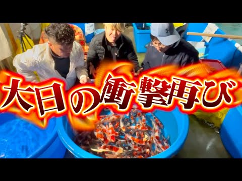【遼河鯉庵】 まだ終わらねえよ!!大日トヨタ店からとんでもない昭和が入荷しました #koi #nishikigoi