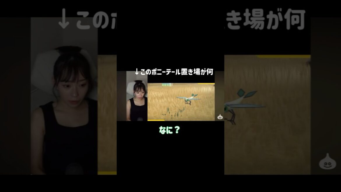 ビブラーバって…【あんちゅ/石塚朱莉 切り抜き】【ポケモンSV】