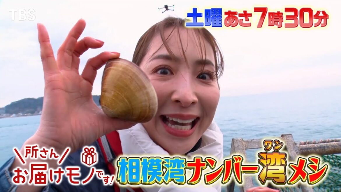 『所さんお届けモノです!』真飛聖 新名物“鎌倉はまぐり”漁に挑戦!相模湾のナンバー湾メシ《後編》 2/8(土)【TBS】