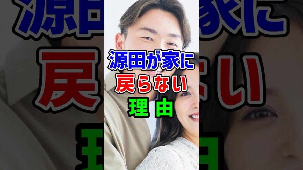 源田もどらん…衛藤美彩の心境と今後の選手生命について新たな展開 #プロ野球 #野球 #不倫