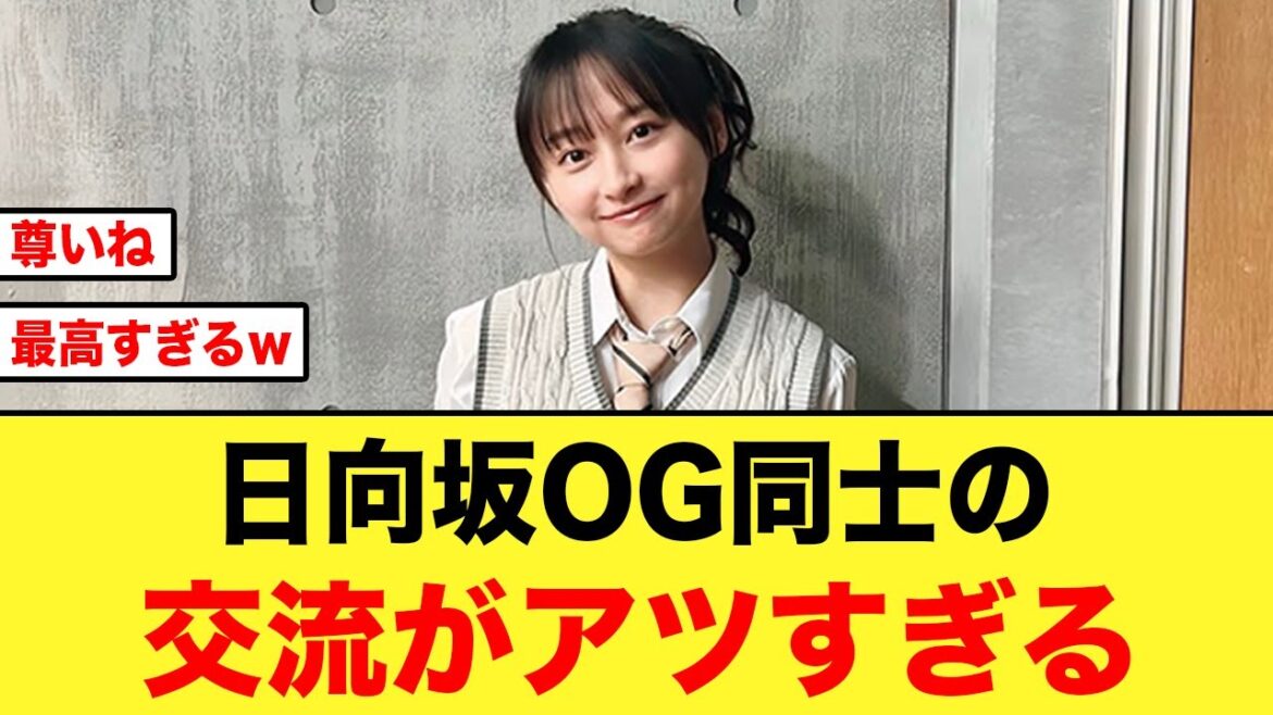 影山優佳のインスタライブで日向坂OGが大暴れするw【日向坂46】