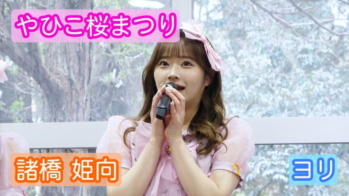 【4K ライブ映像】諸橋姫向「やひこ桜まつり」ヨリ