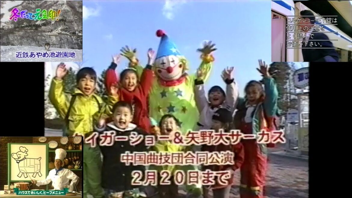 1994新春かくし芸大会 関西再放送でのローカルCM ⑤(冬だって元気印 近鉄あやめ池遊園地 矢野大サーカス+コルゲンコーワ+渡辺正行 ハウスハッシュドビーフ)