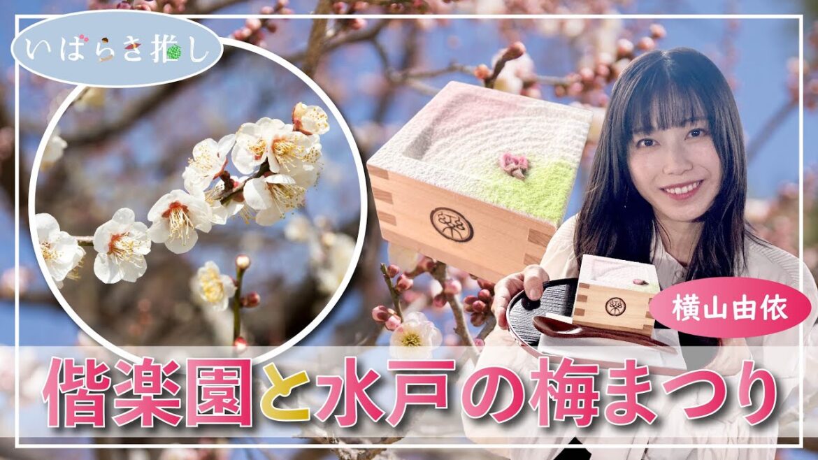 いばらき推し「偕楽園と水戸の梅まつり(水戸市)」【出演:横山由依】
