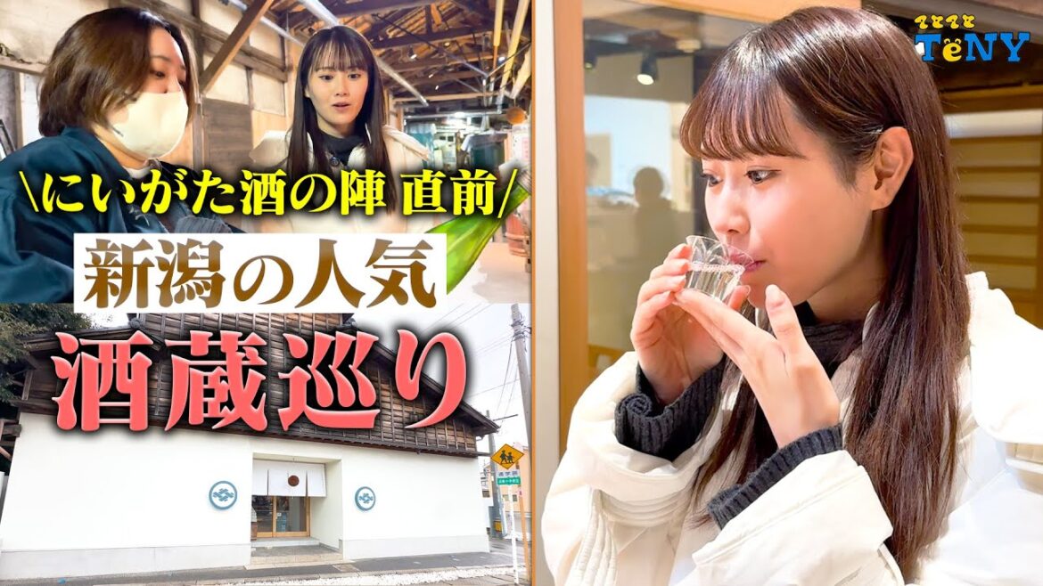 【酒の陣 直前】新潟の人気の酒蔵をご紹介!今代司酒造の日本酒が最高すぎた!!【NGT48 西潟茉莉奈】