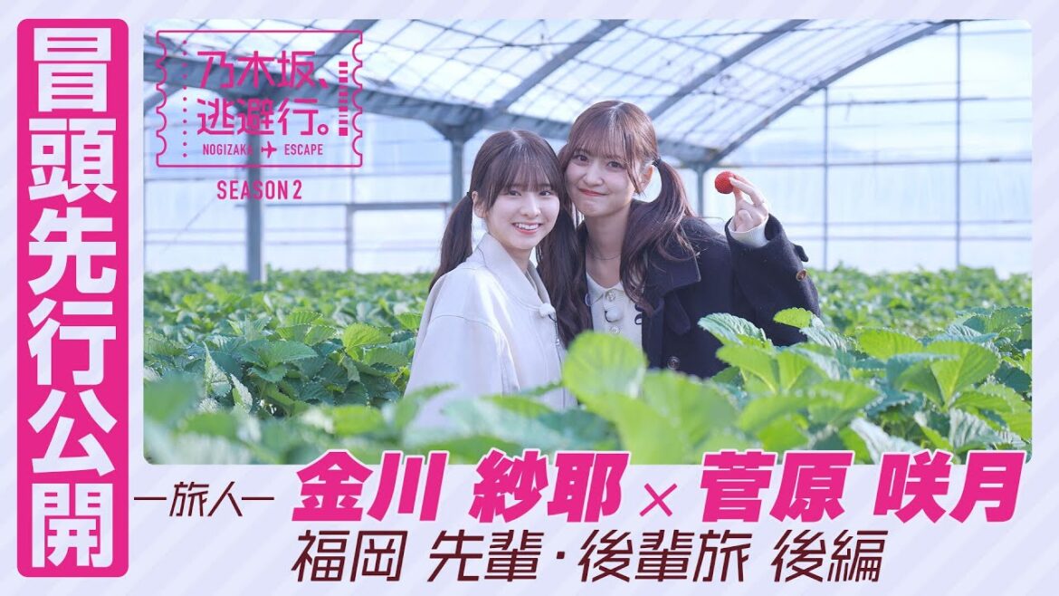 【冒頭先行公開】乃木坂、逃避行。SEASON2 #6 福岡旅 後編 #金川紗耶 × #菅原咲月