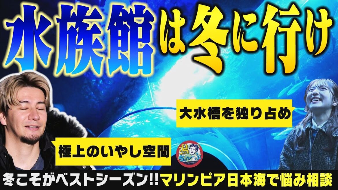 【新潟の水族館】マリンピア日本海の悩み「冬はお客さんがきてくれない…」いやいや冬こそ水族館のベストシーズン!JOYと大塚七海が極上の癒やしを味わう▽北村優羽の小千谷Google Map旅【潟ちゅーぶ】