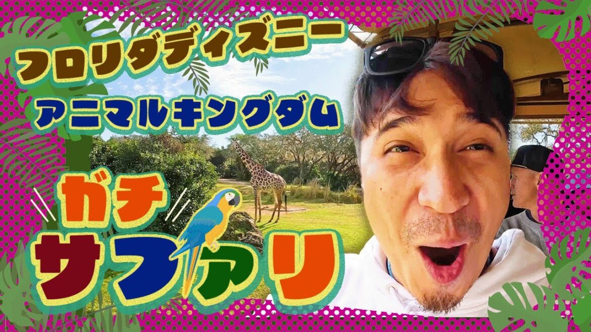 【フロリダディズニー⑤】アニマルキングダム、まじアニマルだらけ!