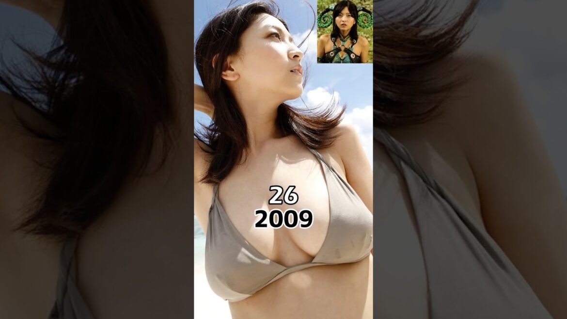 獣拳戦隊ゲキレンジャー 2007vs2024
