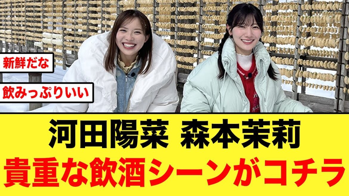 【超貴重】日向坂メンバーの飲酒シーンがコチラ!!【河田陽菜/森本茉莉】