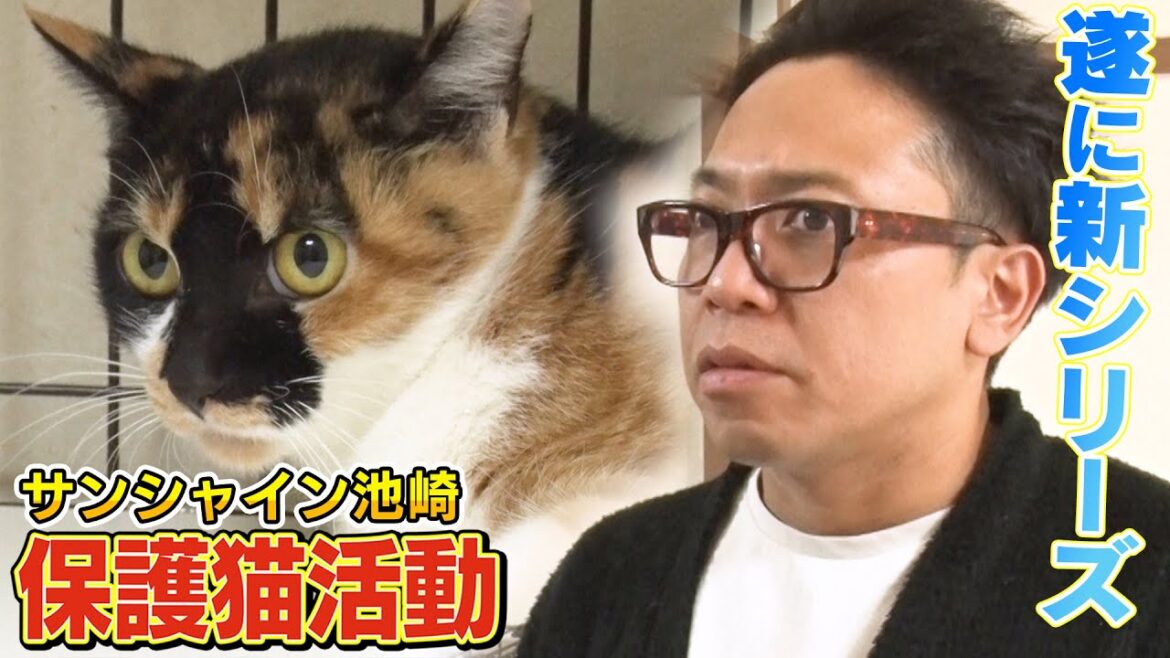 【新シリーズ開始】猫おじさんことサンシャイン池崎さんが新たな保護猫生活を!