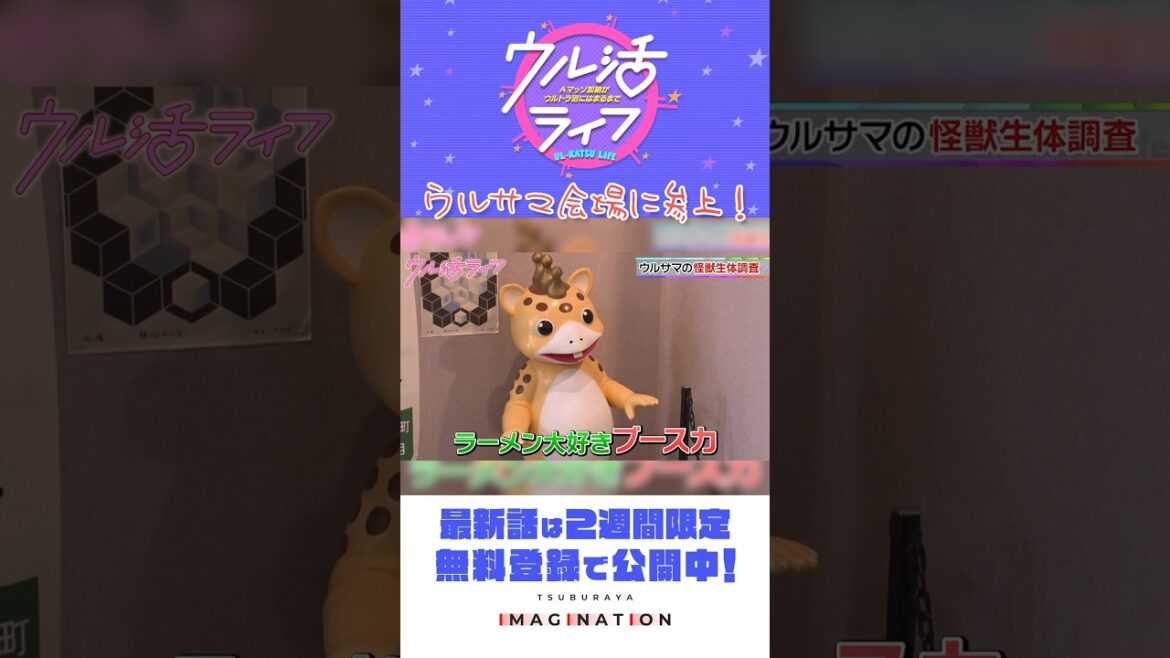 スタジオを飛び出してウルサマを体験!『ウル活ライフ Aマッソ加納がウルトラ沼にはまるまで』#14