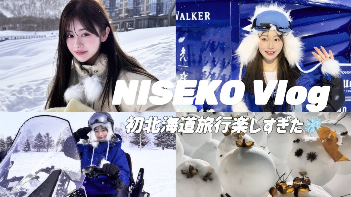 人生初北海道旅行❄️✈️ニセコってほぼ海外なの本当だった🎀🫶🏻🍦 #vlog #hokkaido #北海道 #ニセコ #niseko