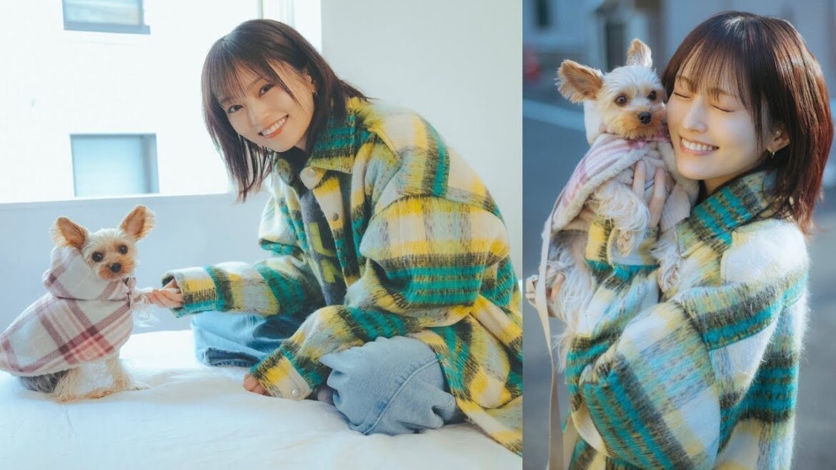 山本彩さんと愛犬・凛音ちゃんが遊びにきてくれました!(ヨークシャーテリア|月刊わんこコメント動画)