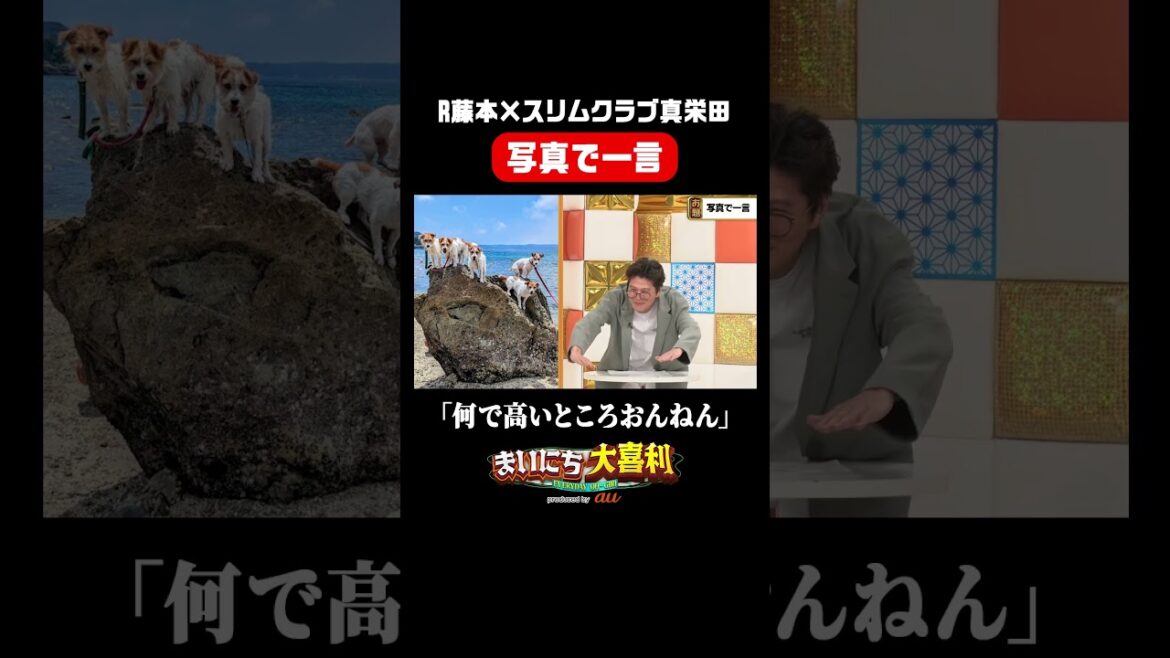 【R藤本×スリムクラブ真栄田】写真で一言 #まいにち大喜利 #まいにち大喜利グランプリ