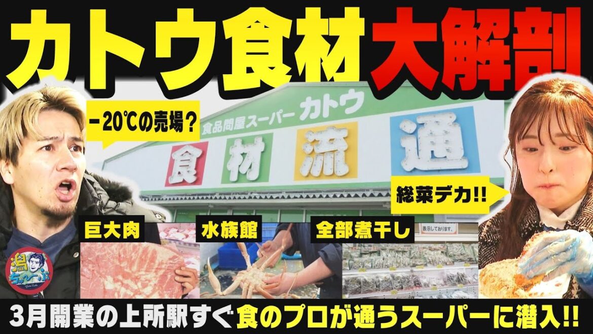 【新潟の買い物】3月開業「上所駅」周辺街ブラ!新潟の食のプロが通う『カトウ食材』の実力をJOYと大塚七海が徹底調査 ▽ 二十歳のつどいで振袖ファッションチェック【潟ちゅーぶ】
