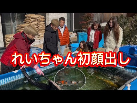 【遼河鯉庵】 完全復活!!生まれ変わった2人で超破格の通信販売を行います。#koi #nishikigoi
