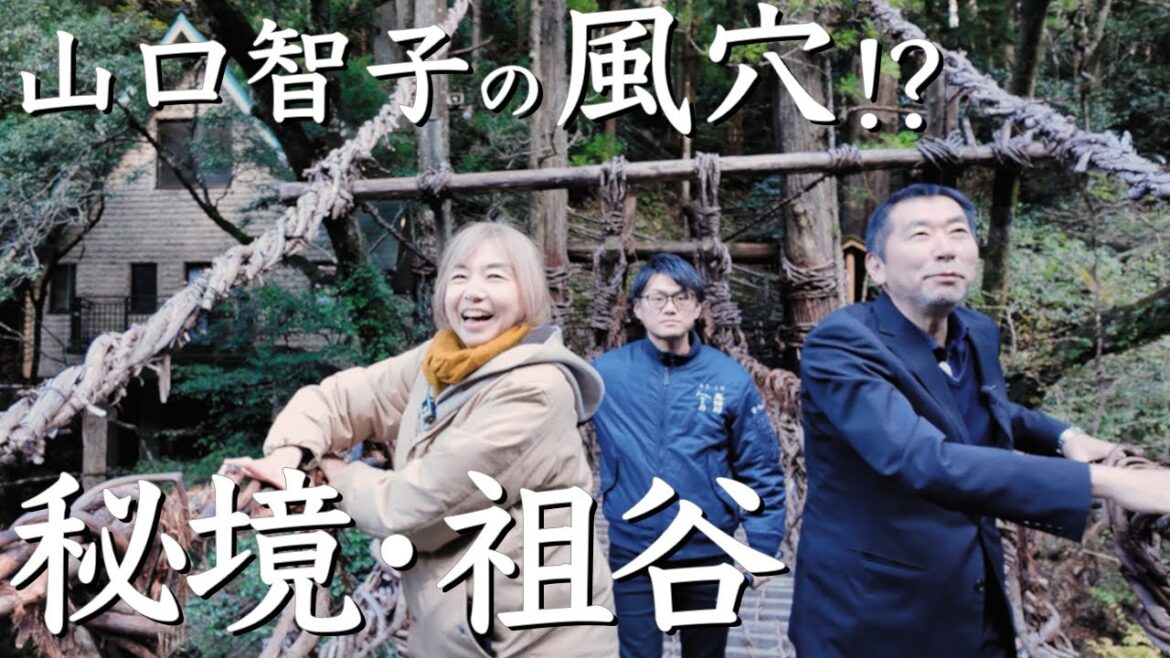 平家の哀話秘める「祖谷のかずら橋」 阿波編8