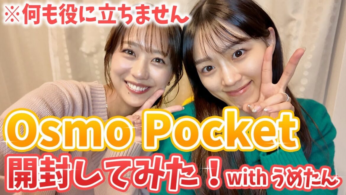 OSMO POCKETを買った報告をするだけの動画 ※何も役に立ちません