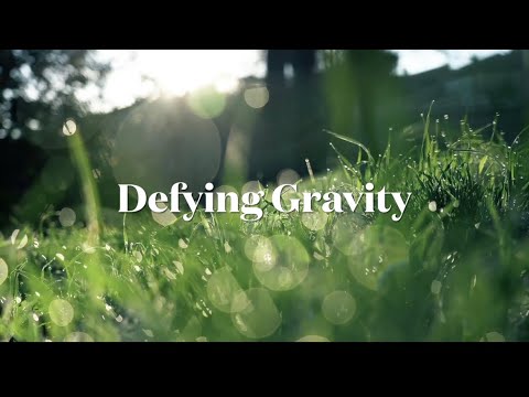 Defying Gravity【cover】