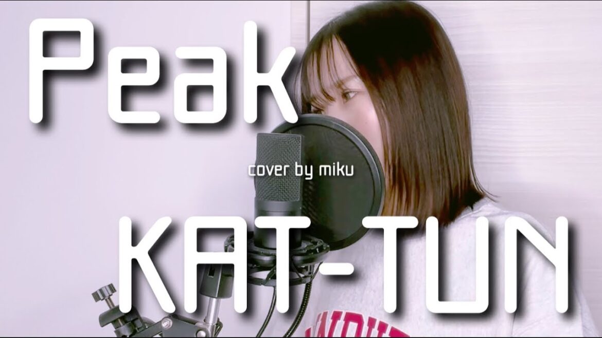 Peak/KAT-TUN【cover】