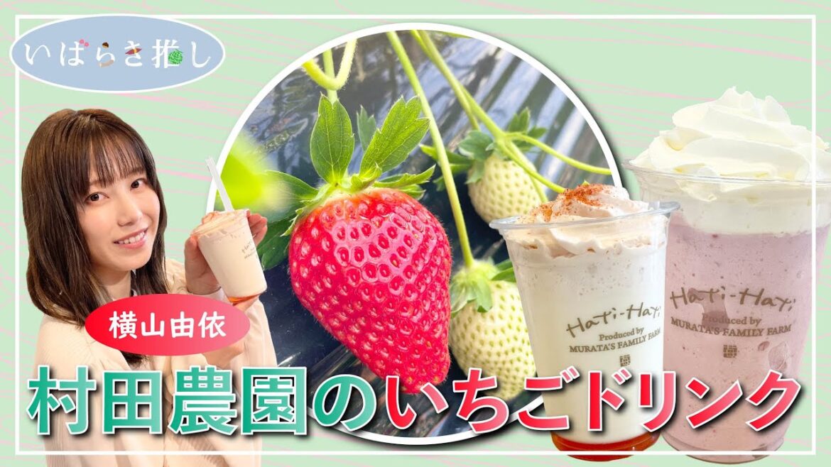 いばらき推し「村田農園のいちごドリンク(鉾田市)」【出演:横山由依】
