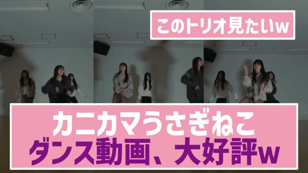 【ダンス三銃士】カニカマうさぎねこダンス動画、大好評