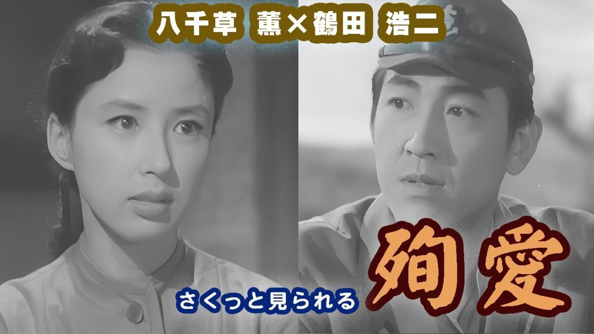 【八千草薫】さくっと見られる「殉愛」【高画質化!】