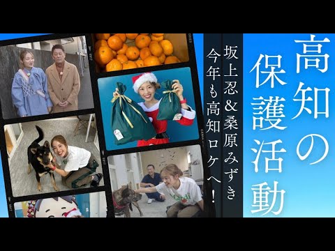【坂上&桑原の新春特番】前進する高知の保護活動