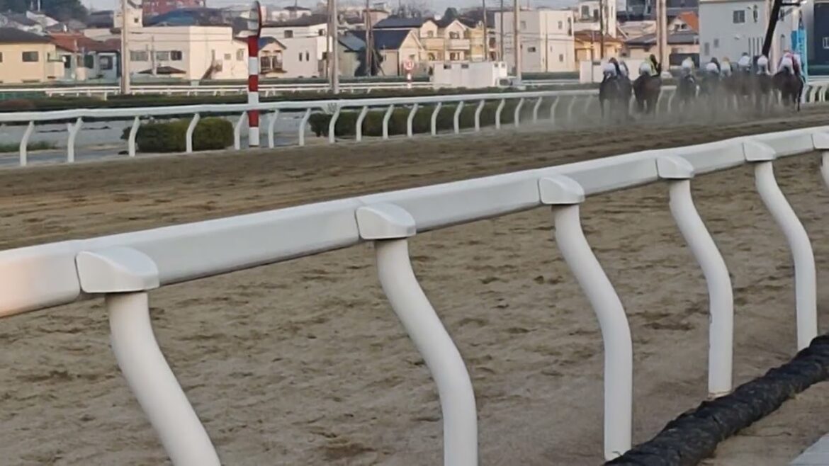 #浦和競馬 #最終日 #第10r #コラボありがとうウマ娘特別 #勝利 11番 ビックランサー号 🐴 #勝利騎手 #佐野遥久 #おめでとう #3連単 11-9-10 #万馬券 156.060円