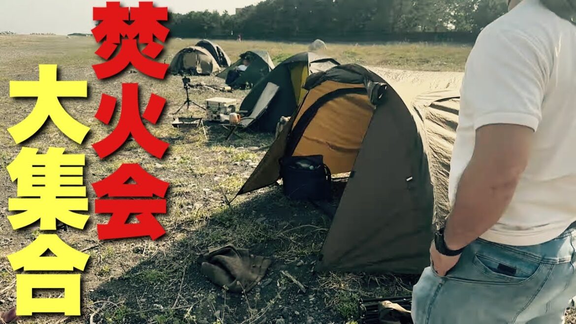 海辺でキャンプ!生シラスと日本酒ソーダ!?