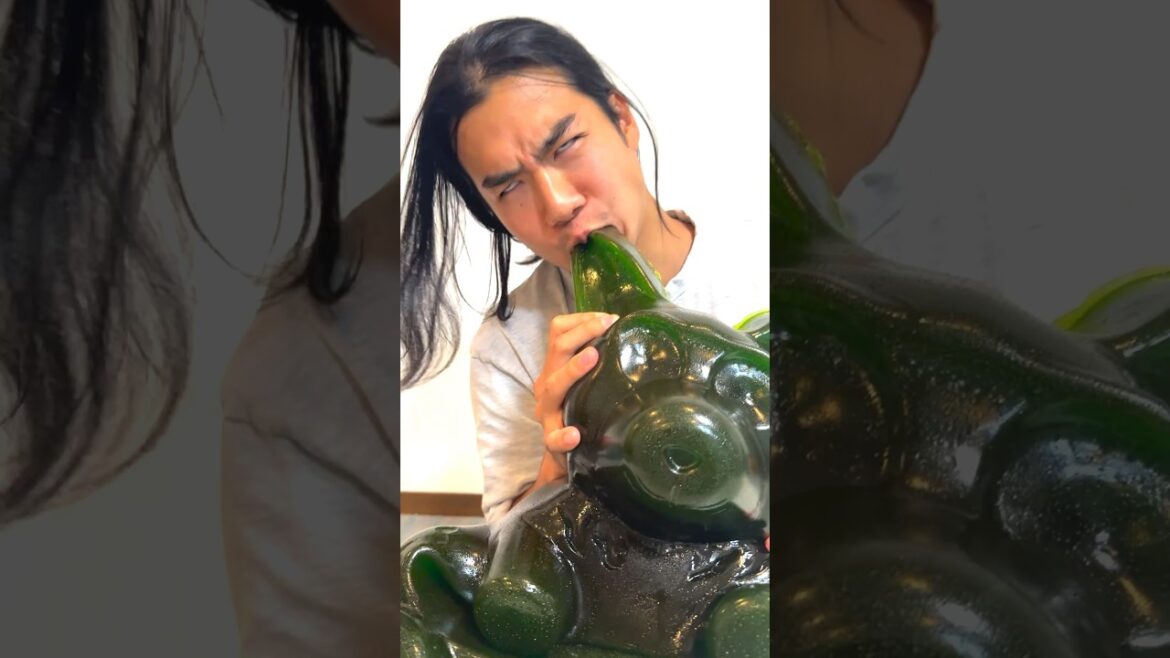 The 26-pound Party Gummy Bear Funny Video😂😂😂 /超巨大くまグミがいきなりやってきた!? #shorts