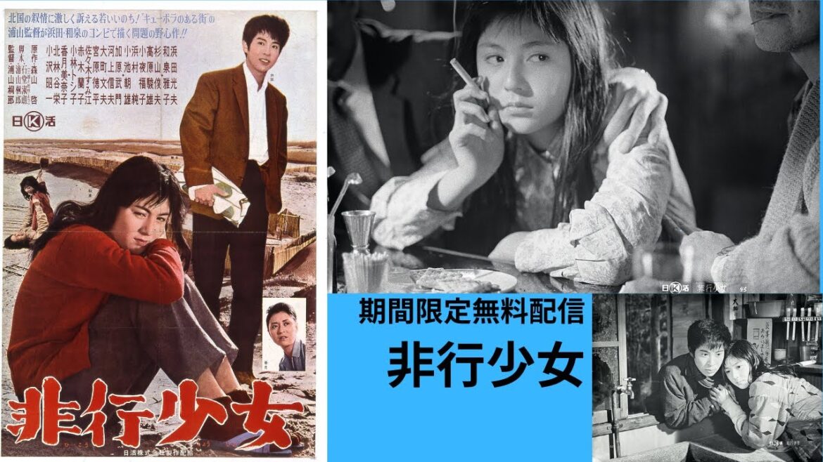 日活スター女優シリーズ 和泉雅子「非行少女」(1963)