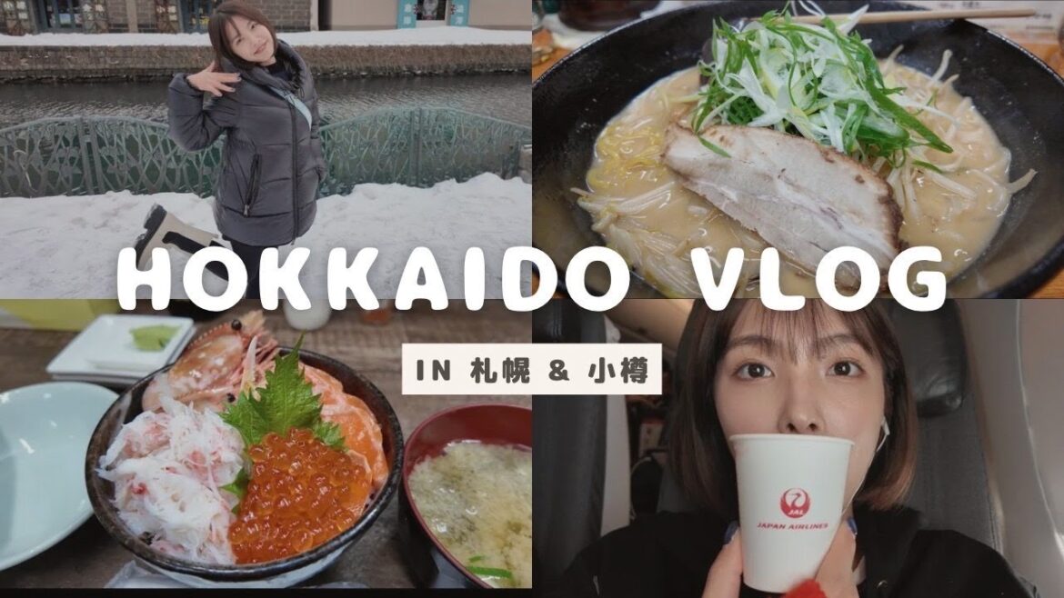 【北海道Vlog】2泊3日で北海道に行ってきました! #北海道 #旅行vlog #札幌 #小樽