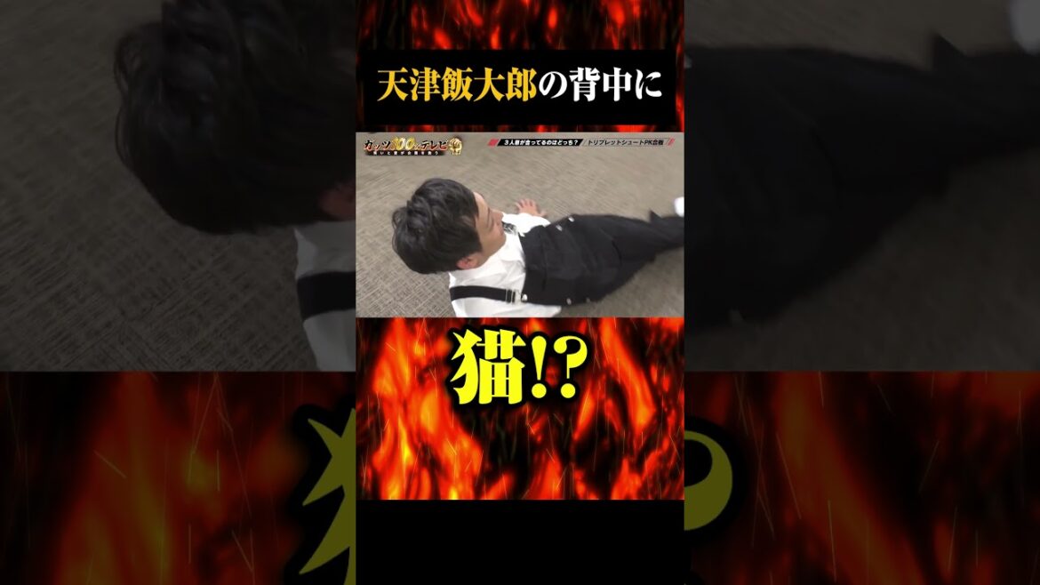 とろサーモン村田骨折からの…天津飯大郎の背中に猫!? #村田秀亮 #shorts #ガッツ100