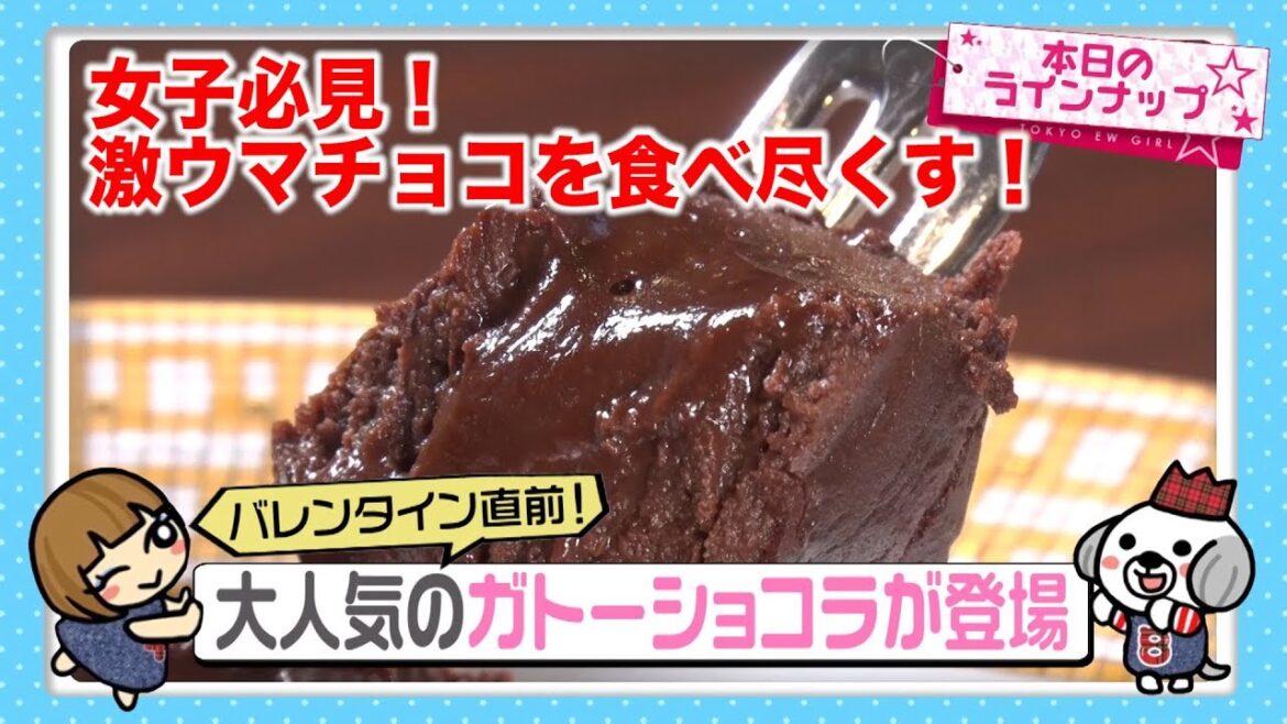 バレンタイン直前企画!2019年話題の新作チョコ食べ尽くす!【藤井サチ・宮沢セイラ・東京電波女子#25】