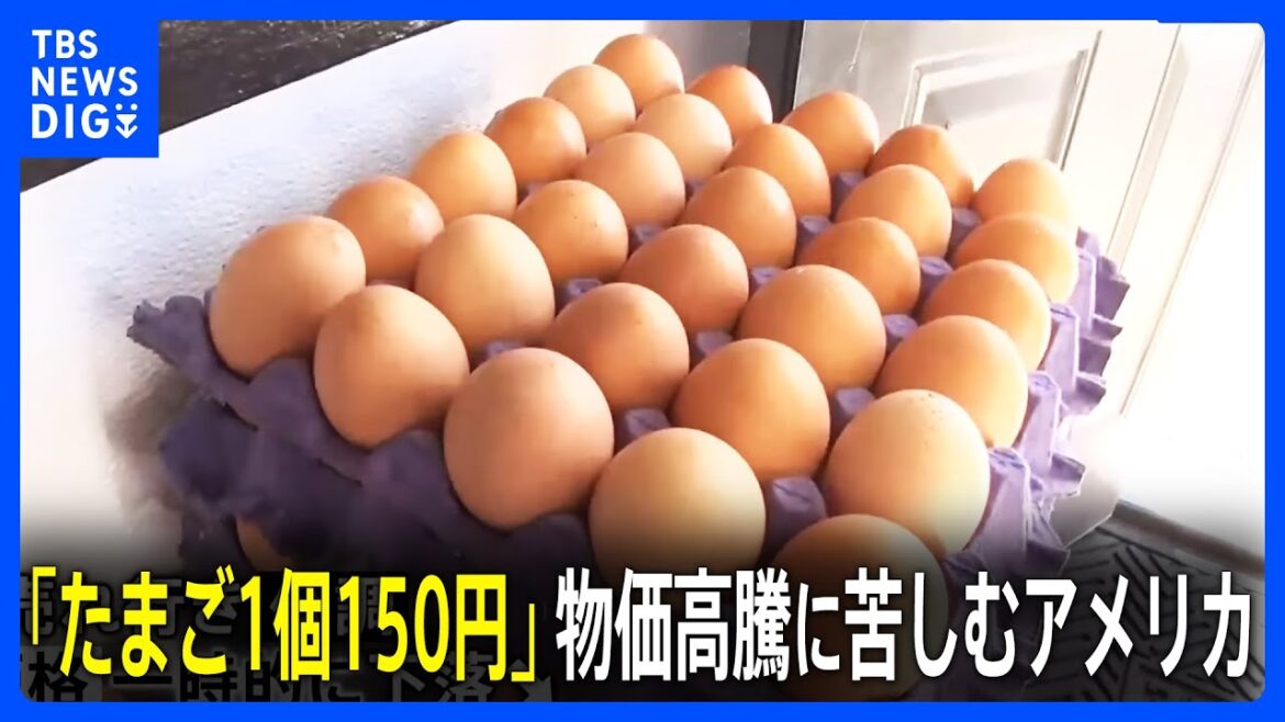 NYで「たまご1個150円」でばら売りも 物価高騰に苦しむアメリカ【現場から、】|TBS NEWS DIG