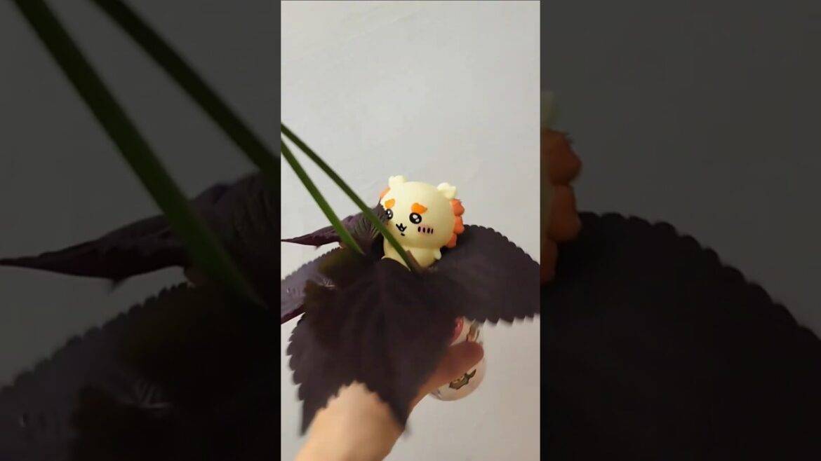 超級打工者合宿中#ちいかわ #獅薩