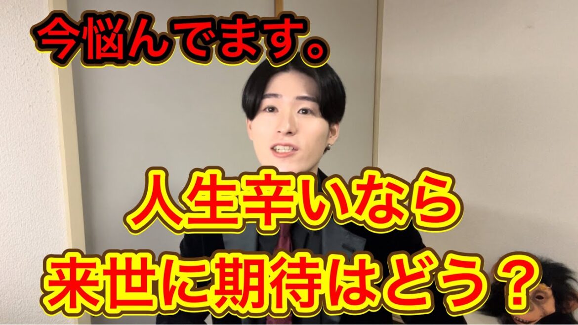【23歳ホスト悩み】来世何になれば良いのか分かりません…サメ?シャチ?ゴリラ。弱肉強食はめんどくさい