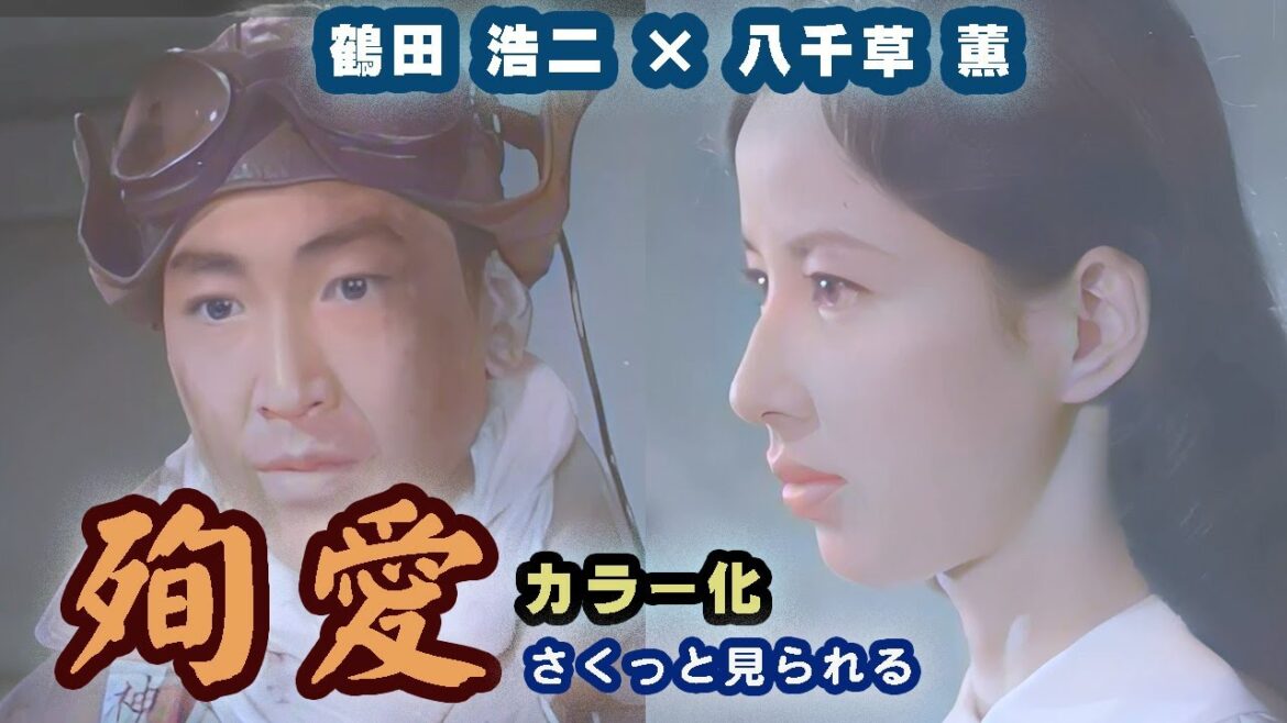 【AIカラー化】【八千草薫】「殉愛」さくっとまとめました!