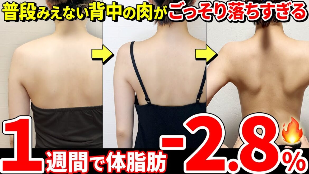 【座ったまま背中&二の腕痩せ🔥】体脂肪落とすには肩甲骨からが命!なかなか効果出ない人はまずコレやって!!
