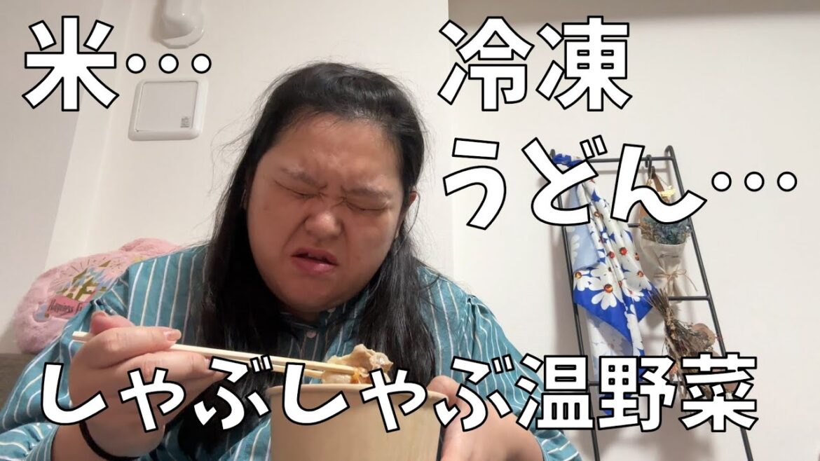 【しゃぶしゃぶ温野菜 ごま豆乳鍋】寒くなってきたね!今年も乗り物の暑さと戦う時期がきたよ!【ロッテ チョコパイ】