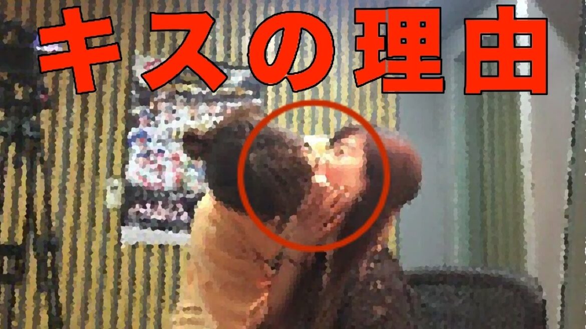 【超衝撃】AKB48大家志津香と武藤十夢の濃厚すぎる“キス動画”が本気でヤバい!