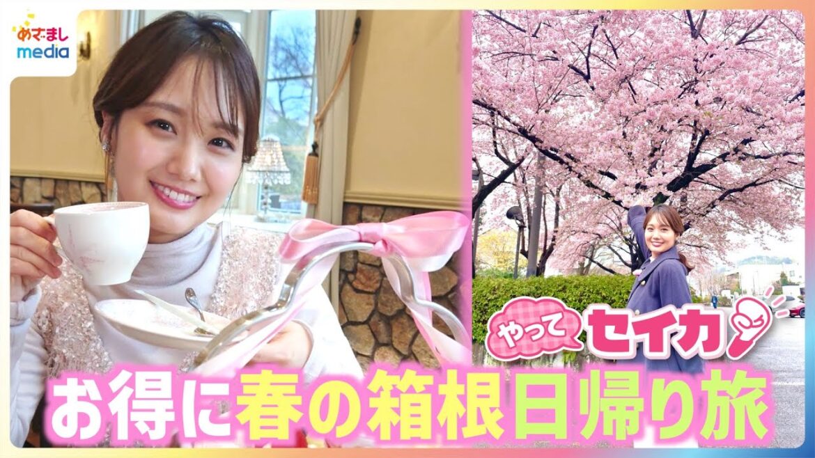 井上清華キャスターが春の箱根でお得に日帰り旅を満喫♪期間限定32種類の”箱根スイーツコレクション”で絶品ティラミスを発見&桜咲く公園内のカフェでスプリングアフタヌーンティーも【やってセイカ!】