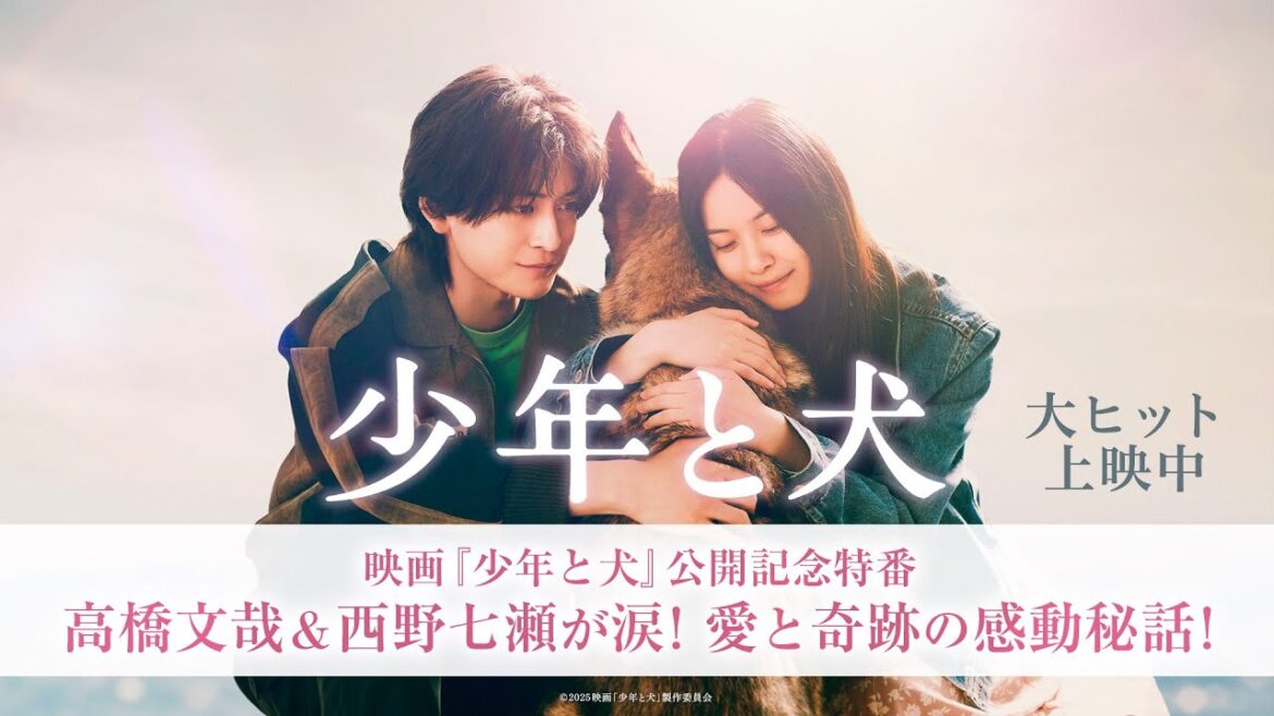 【映画『少年と犬』公開記念特番】高橋文哉&西野七瀬が涙!愛と奇跡の感動秘話!【大ヒット上映中】