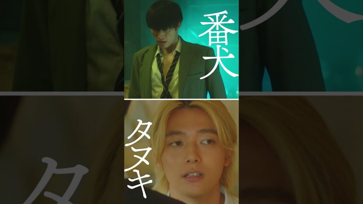 映画『お嬢と番犬くん』WEBCM《番犬VSタヌキ篇》【3月14日(金)公開】#shorts