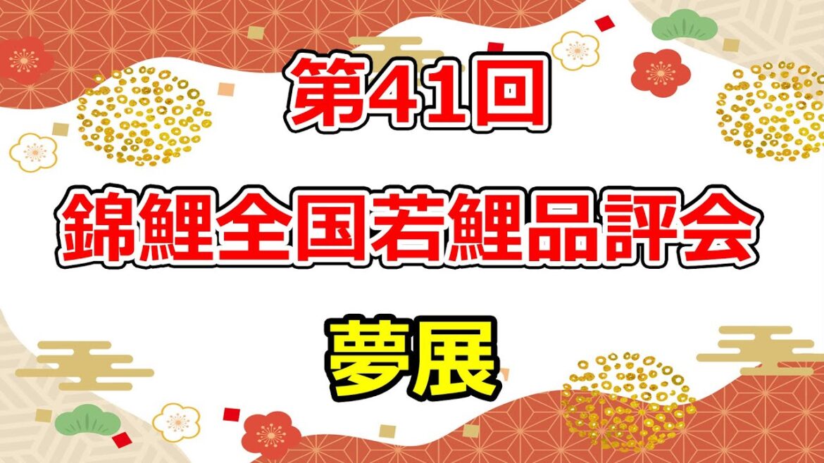 【夢展】第41回錦鯉全国若鯉品評会 2025年