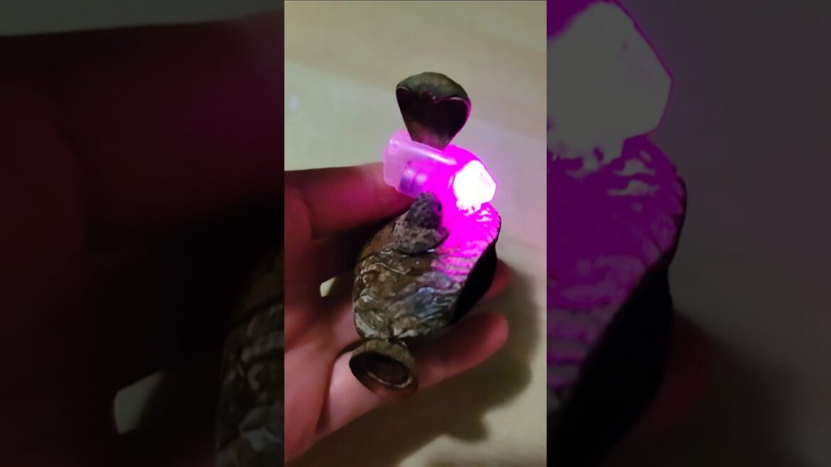 先假裝科研車車現在裝置着植物生長燈吧