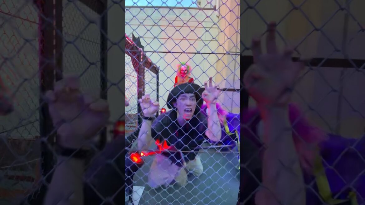 【閲覧注意】ゾンビに絡んだ一般人の末路が酷い… #usj #usjハロウィン #ユニバ #ゾンビデダンス #ハミクマサイコサーカス #usjファン #ピエロゾンビ #筋肉ゾンビ