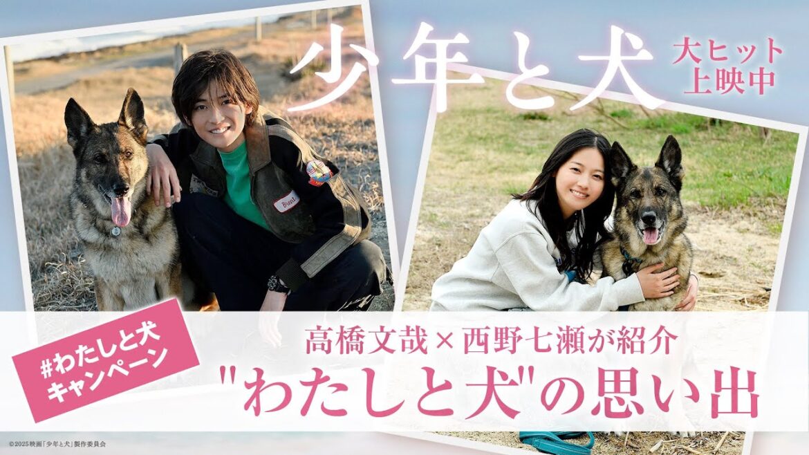 映画『少年と犬』高橋文哉 ×西野七瀬が紹介!【”わたしと犬”の思い出エピソード】